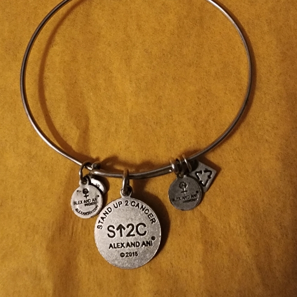 Alex and Ani Stand Up To Cancer Charm Bangle Bracelet - Picture 3 of 4